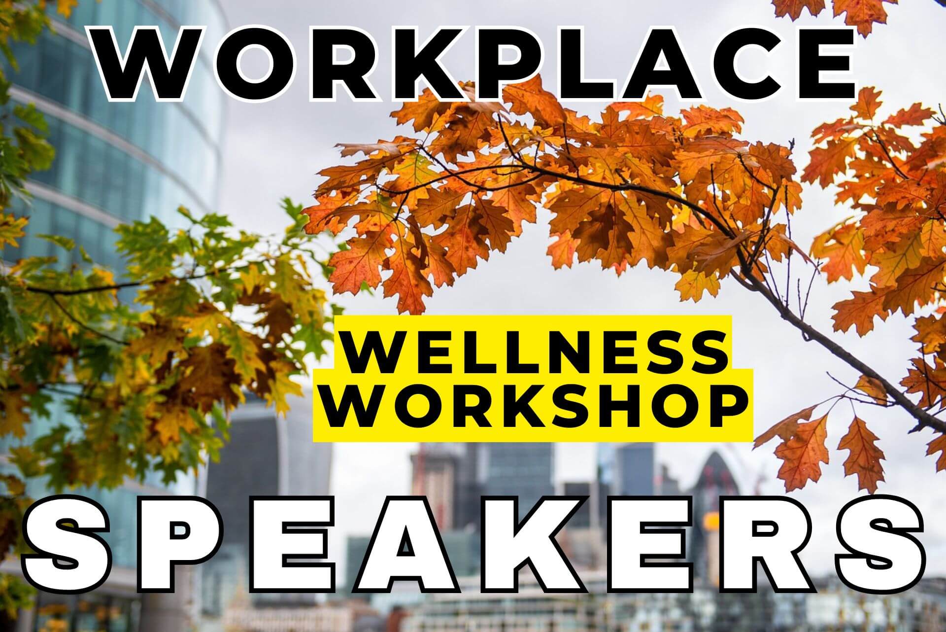 Workplace Wellness Workshop Speakers