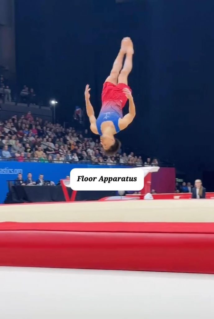 Gymnastics - AI - Corporate Apparatus - Resilience Framework