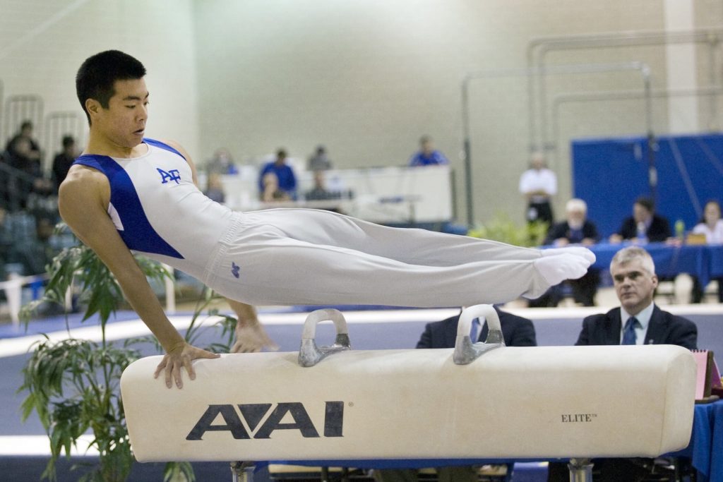 Pommel Horse Corporate Apparatus - Artificial Intellegence Adaptation Resilience