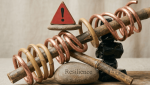 Resilience Moving from Bounce Back to Fluidity