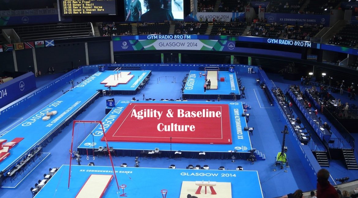Agility & Baseline Culture